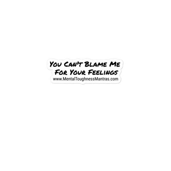 You Can't Blame Me For Your Feelings