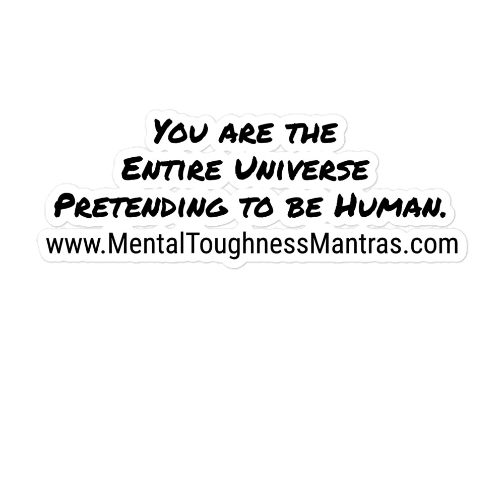 You are the Entire Universe Pretending to be Human. - Bubble-free stickers - Image 3